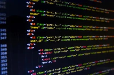 مجموعة مشاريع برمجية متكاملة (Python, Java, C++, JavaScript).