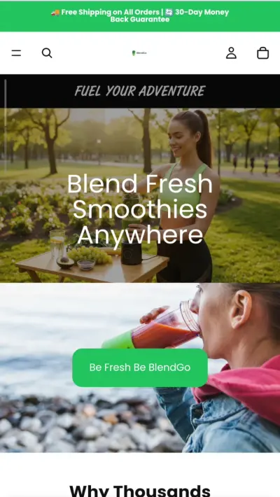 BlendGo single product store