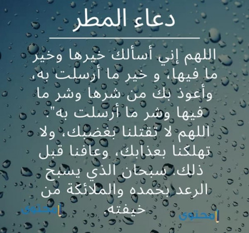 يمكن تقديم خدمات إدخال البيانات