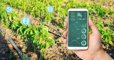Smart Irrigation Prediction System باستخدام Deep Learning