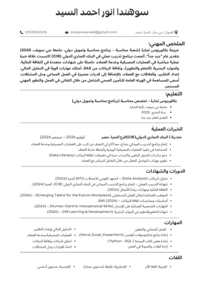 صورة العمل سيرة ذاتية احترافية ( ATS )  باللغة العربية