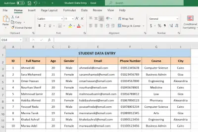 2) لو إدخال بيانات (Data Entry)  📊 Sample Excel Table