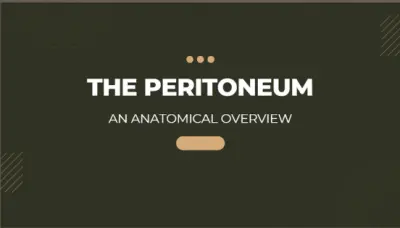 The Peritoneum — An Anatomical Overview