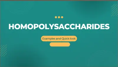 Homopolysaccharides — Examples and Quick Look