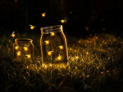 ليلة اليراعات