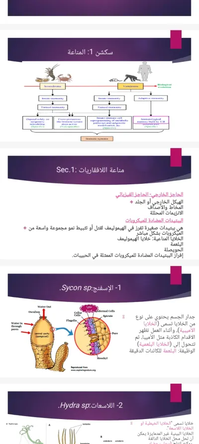 السلام عليكم