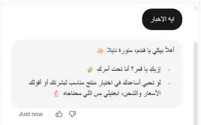 تطوير ومكاملة مساعد ذكي (AI Chatbot) لأتمتة مبيعات وخدمة عملاء المتاجر الإلكترونية.