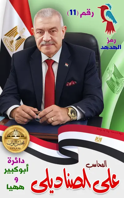 على الصناديلى - عضو مجلس نواب