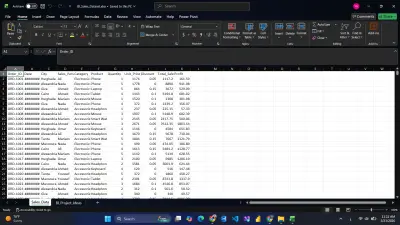 data entry and Excel organization