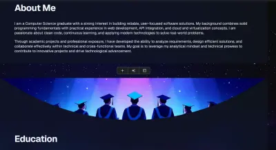 professional portfolio website