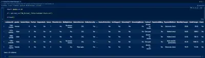 Customer Churn Analysis Project