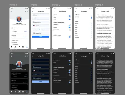 Seamless User Settings & Profile Management Interface