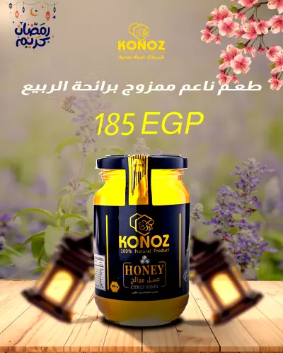تصميم حملة سوشيال ميديا إبداعية لشهر رمضان | عسل أزرق تدريب (Azzrq)