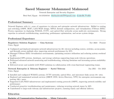 CV Professional ATS