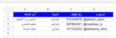 جمع بيانات عملاء عقارات الرياض _ملف Excel منظم