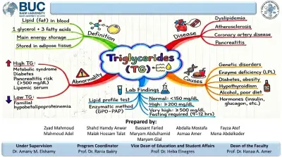 تلخيص محضرات جامعيه
