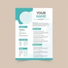 Professional CV