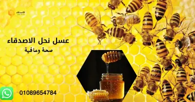 اعلان عسل نحل الاصدقاء