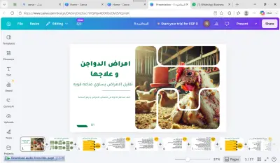 تصميم عرض تقديمي تدريبي احترافي في إدارة وتربية الدواجن