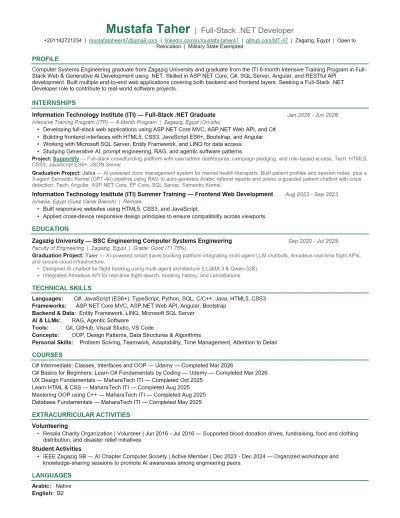 صورة العمل ATS CV سيرة ذاتية احترافية