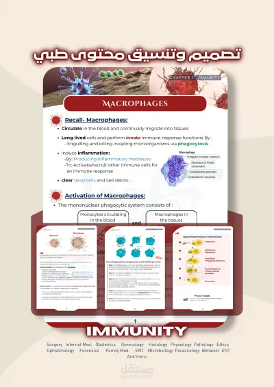تصميم وتنسيق ملزمة طبية - اعادة صياغة السلايدات (Medical Content Design)