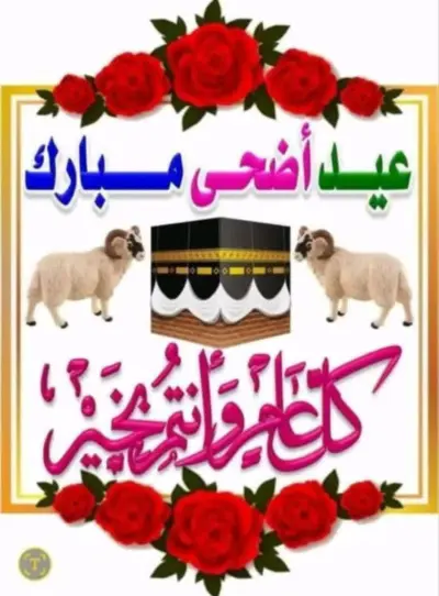 الزاوية مركز اسيوط اسيوط