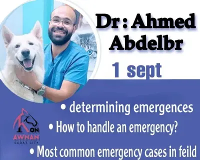 بوستر إعلاني