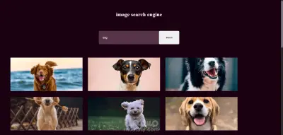 mage Search Engine