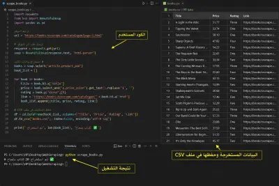 استخراج بيانات المنتجات من مواقع التجارة الإلكترونية باستخدام Python