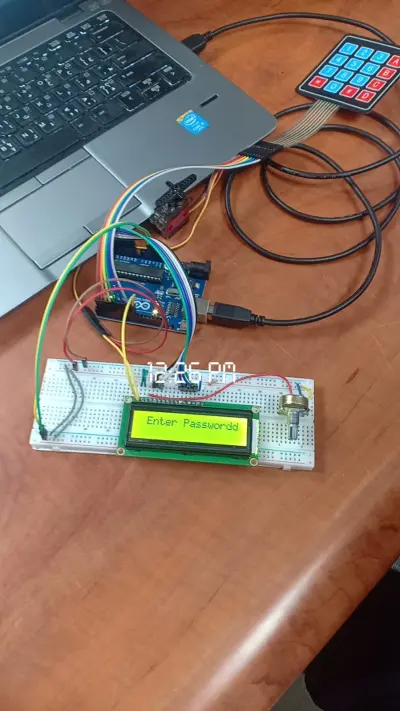 Smart Security Door
