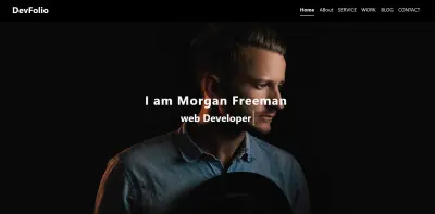 portfolio for web Developer