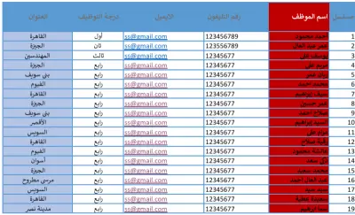 إدخال البيانات وتنسيق ملفات Excel وGoogle Sheets باحترافية