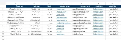 نموذج استخراج وتنسيق بيانات الشركات العربية على Excel