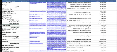 ⁠استخراج داتا الشركات من خرائط جوجل بدقة عالية | B2B Lead Generation