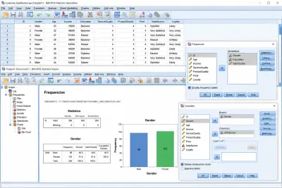 Customer Satisfaction Analysis and Statistical Modeling Using IBM SPSS
