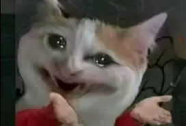قطة بتصيح وخلاص