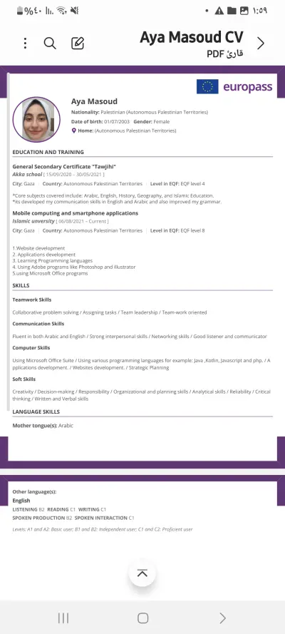 عمل  cv محترف