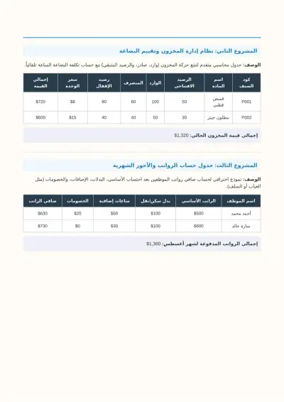 تصميم نماذج وأنظمة محاسبية متقدمة على الإكسل (إدارة مخزون ورواتب)