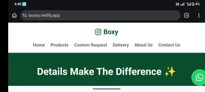 Web development