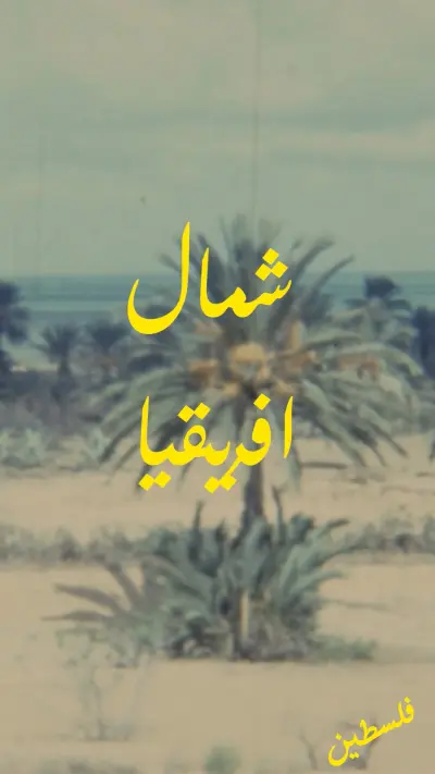 شمال افريقيا