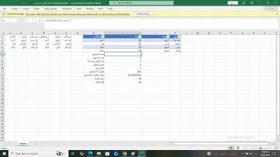 إدخال وتنظيم قوائم وبيانات الطلاب على Excel
