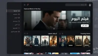 Experienced Developer for Streaming Platform (Fasel Plus style)