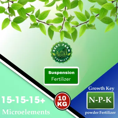 تصميم شعارات ،سوشيال ميديا ،