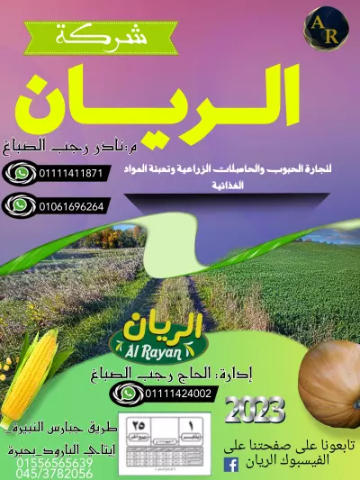 تصميم شعارات ،سوشيال ميديا ،