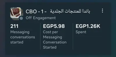 إدارة حملة Meta Ads لمصنع "باندا للمنتجات الجلدية" - استهداف تجار الجملة وتحقيق أعلى معدل تحويل بأقل تكلفة