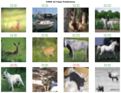 دراسة متقدمة لتعزيز متانة نماذج تصنيف الصور ضد الهجمات العدائية باستخدام Deep Learning  (Adversarial Attacks & Defenses on Image Classifiers | PyTorch)