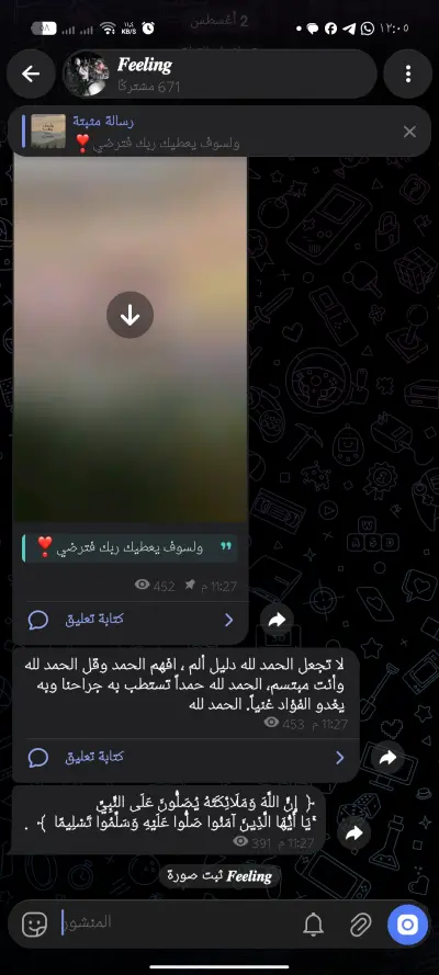 رشق حسابات وقنوات