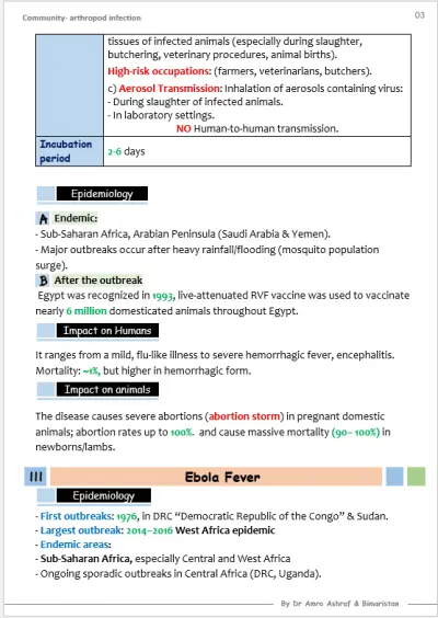 تصمميم ملفات و عروض تقديميه باستخدام Canva , Word , Power point