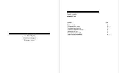 Expert Auditor Required for Preparing a Professional Audit Report 2025