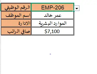تصميم نظام استعلام بيانات الموظفين